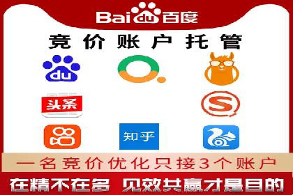 百度推广成功案例：打造行业领军品牌之路